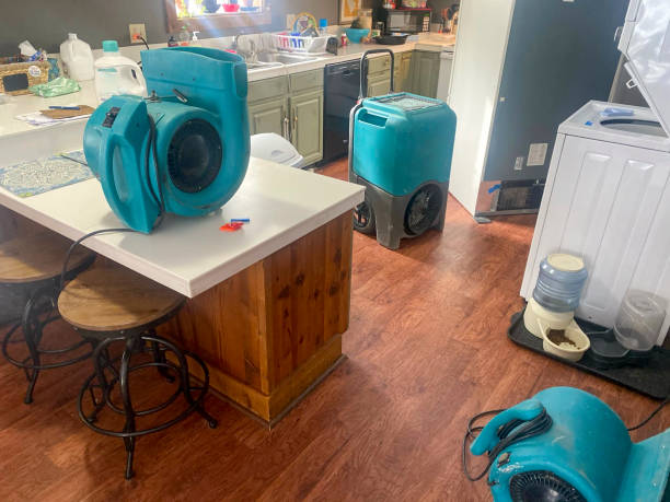 Best Basement water damage restoration  in Gillette, NJ