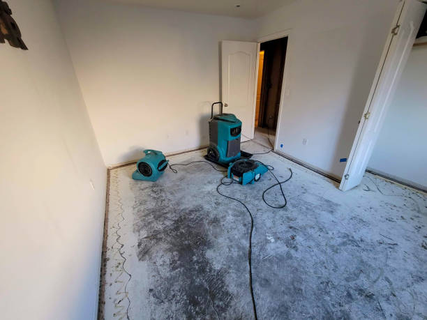 Best Local water damage restoration  in Gillette, NJ