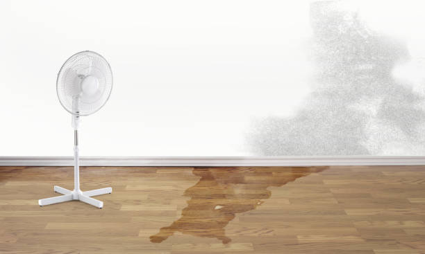 Best Ceiling water damage repair  in Gillette, NJ