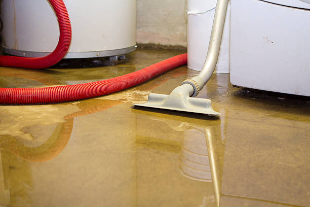Best Water damage restoration specialists  in Gillette, NJ