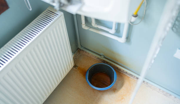 Best Water damage mitigation services  in Gillette, NJ