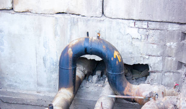 Best Water damage cleanup near me  in Gillette, NJ