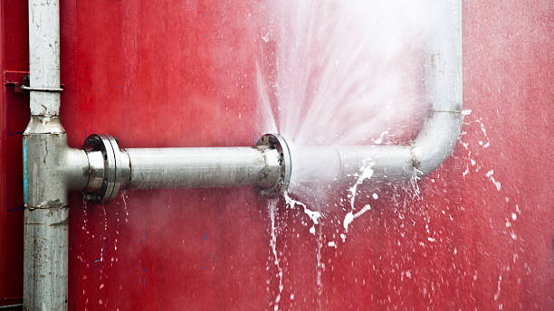 Best Sewage cleanup and water damage restoration  in Gillette, NJ